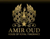 Amir Oud