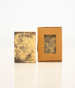 Mango and Coconut Soap