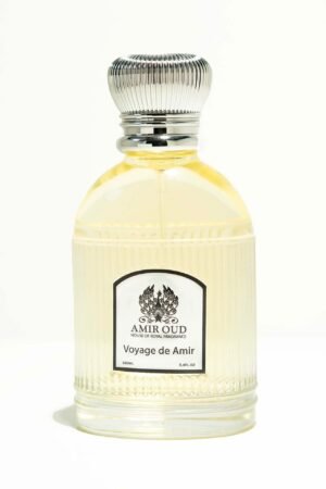 Voyage de Amir