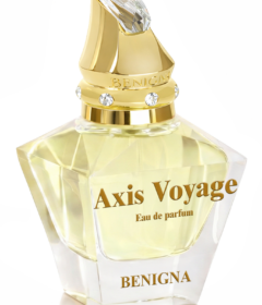 Axis Voyage