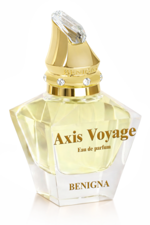 Axis Voyage