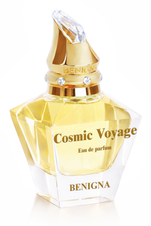 Cosmic Voyage
