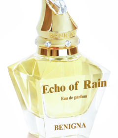 Echo of Rain