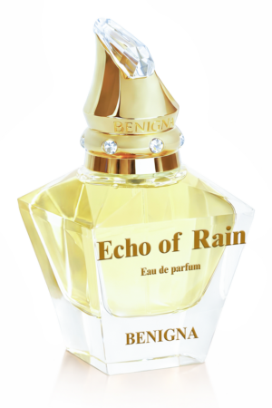 Echo of Rain