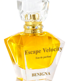 Escape Velocity