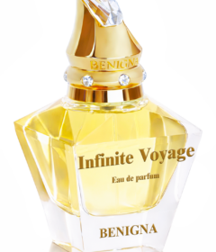 Infinite Voyage