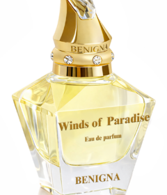Winds of Paradise